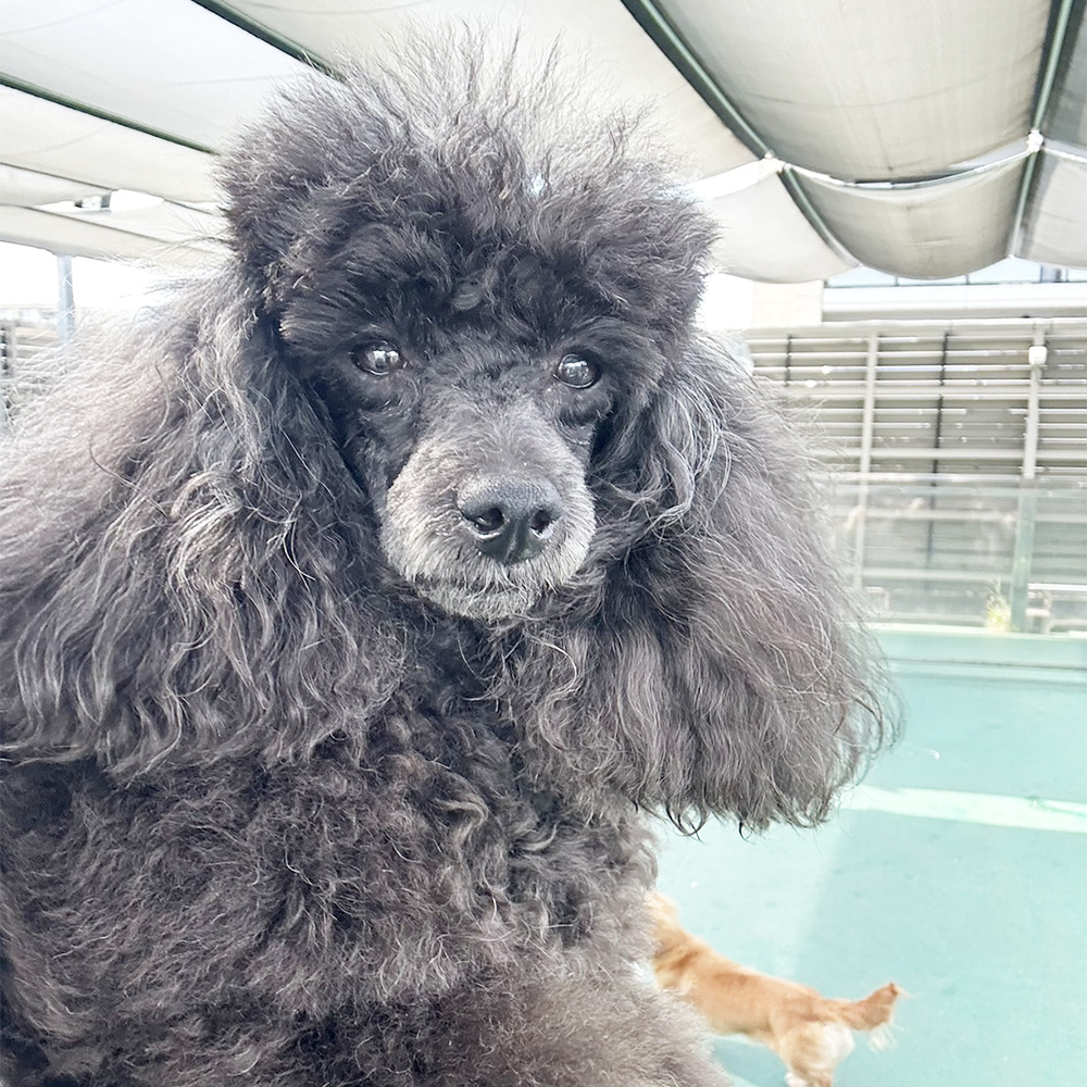 生徒が撮影してくれた写真♪①